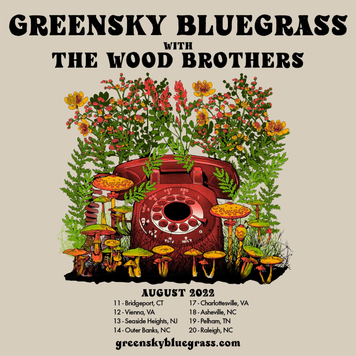 Greensky Bluegrass announces intimate amphitheater run this summer with The Wood Brothers